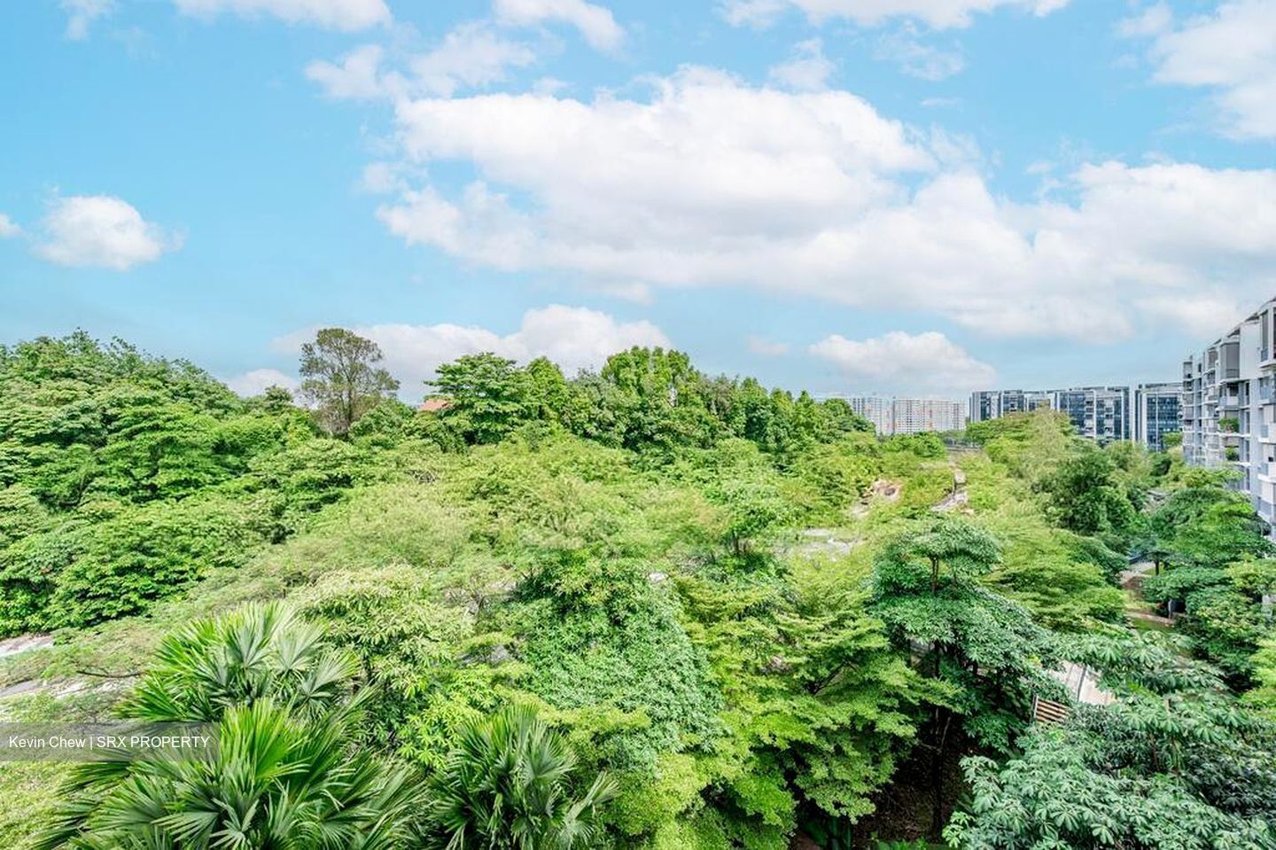 The Visionaire (D27), Condominium #497950451